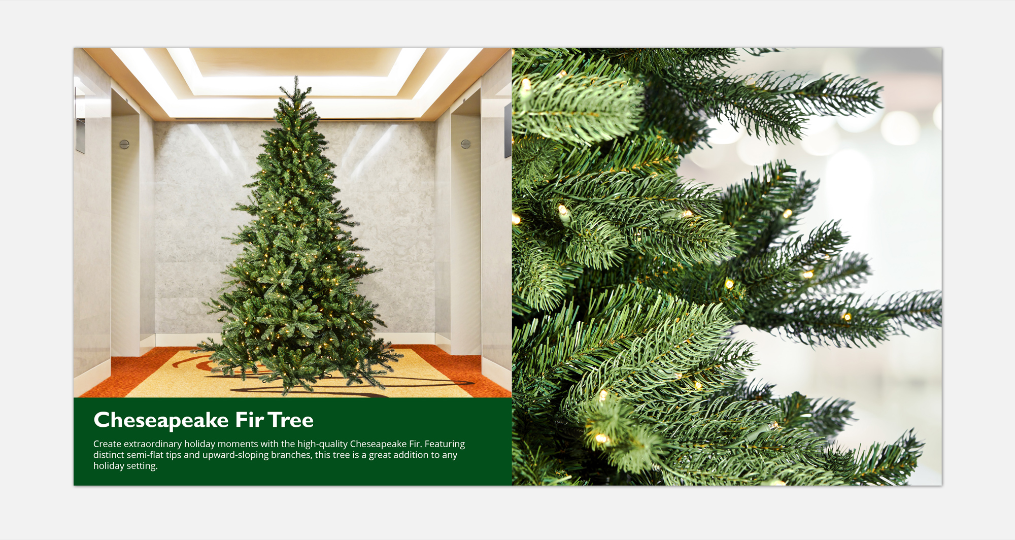 High-resolution product showcase spread displaying close-up pine branch textures and interior placement for the Chesapeake Fir.